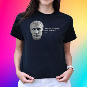 Julius Caesar What Are You Going To Do Stab Me T-Shirt