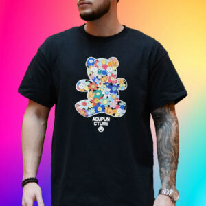 Rainbow Bear Acupuncture Bear Tee Shirt