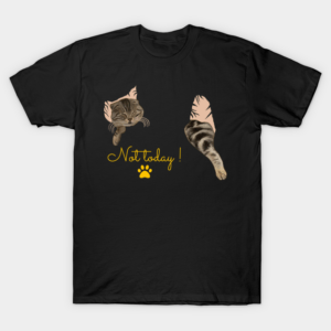 Not today – Sleeping Cat T-Shirt Unisex