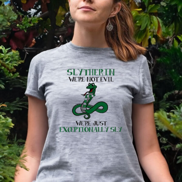 Slytherin we’re not evil we’re just exceptionally sky T shirt