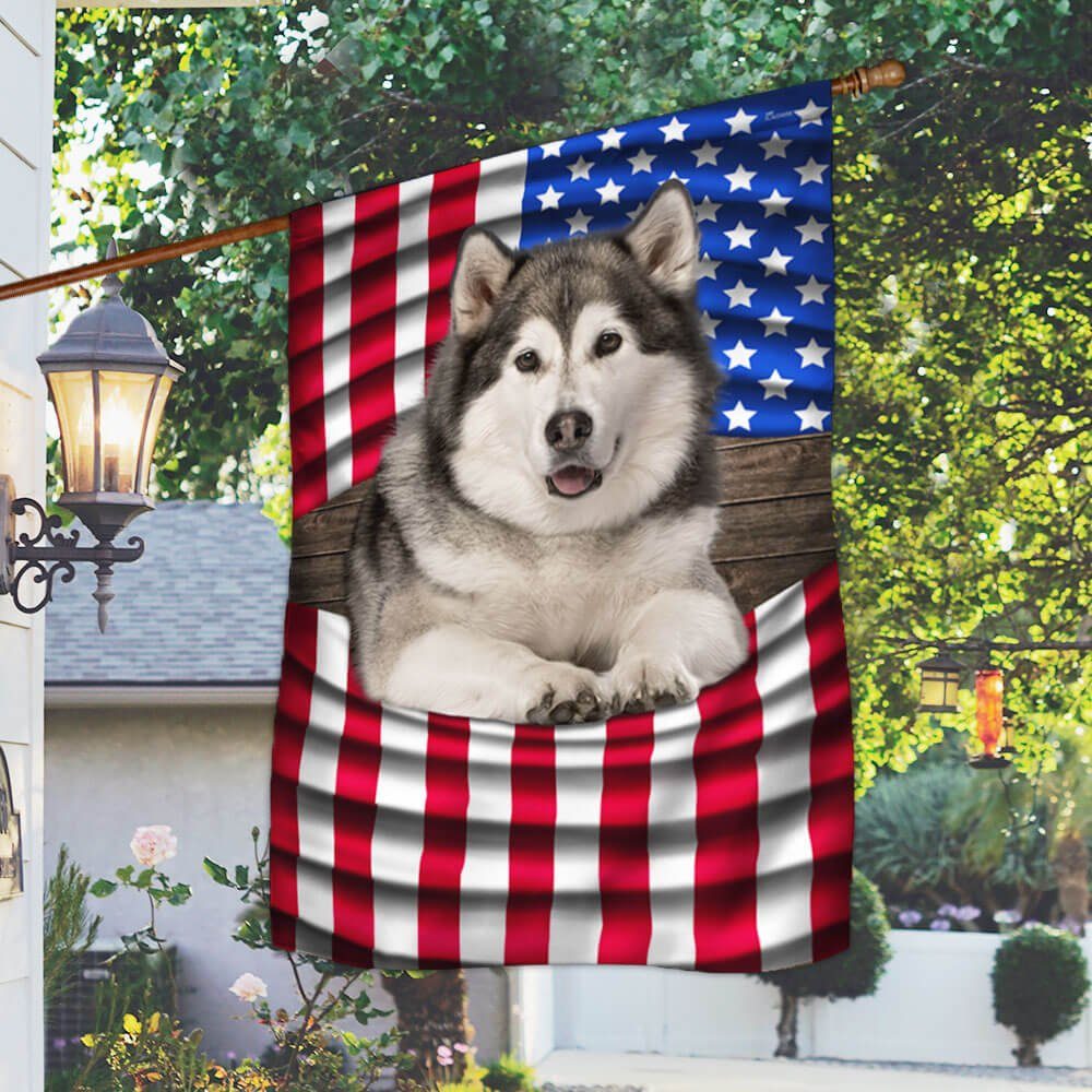 Alaskan Malamute American Flag THB3647Fv2