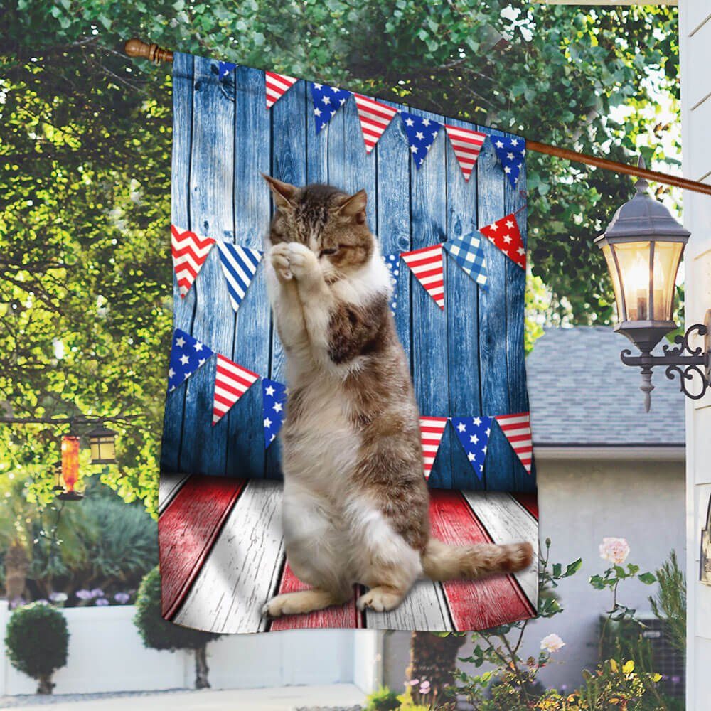 America Cat Flag Praying LNT213F