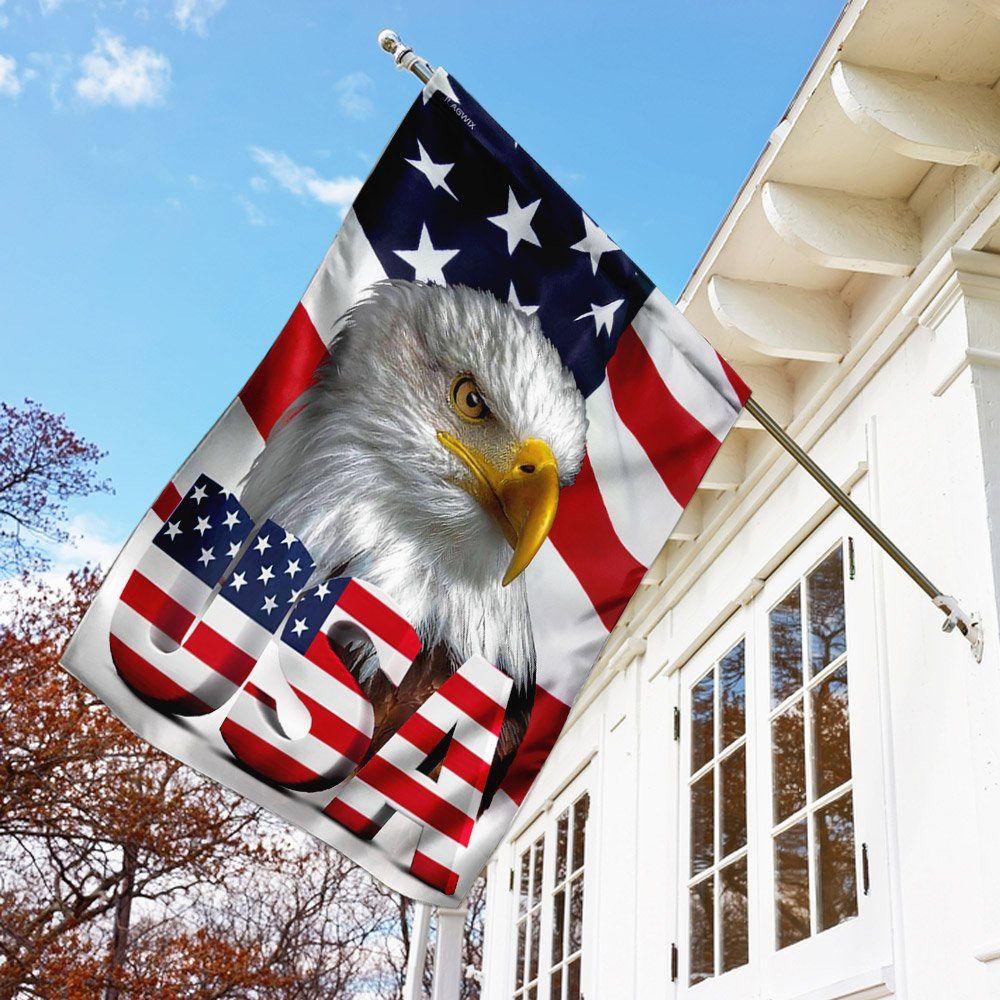 American Eagle US Flag