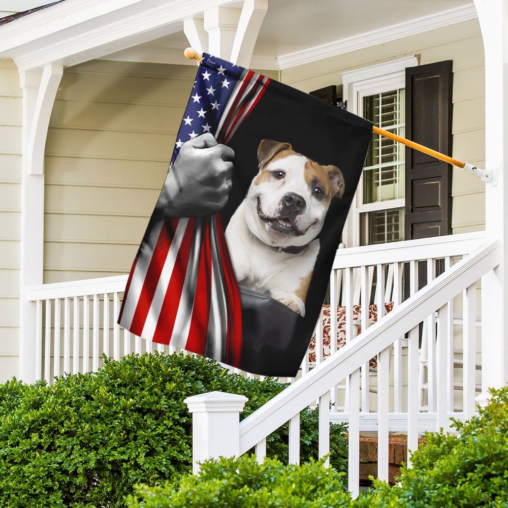 American Staffordshire Terrier American US Flag