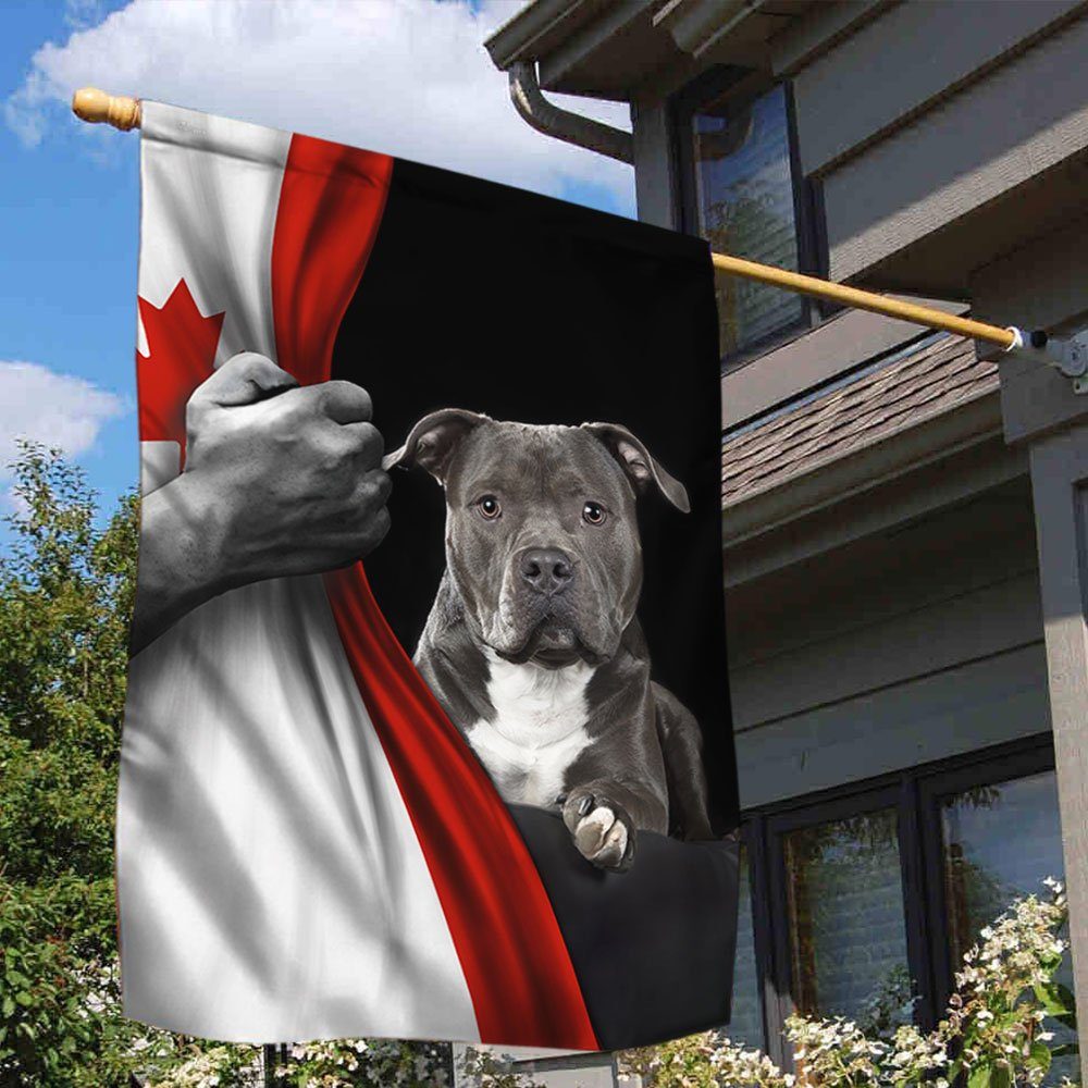 American Staffordshire Terrier Canadian Flag TRL1293F