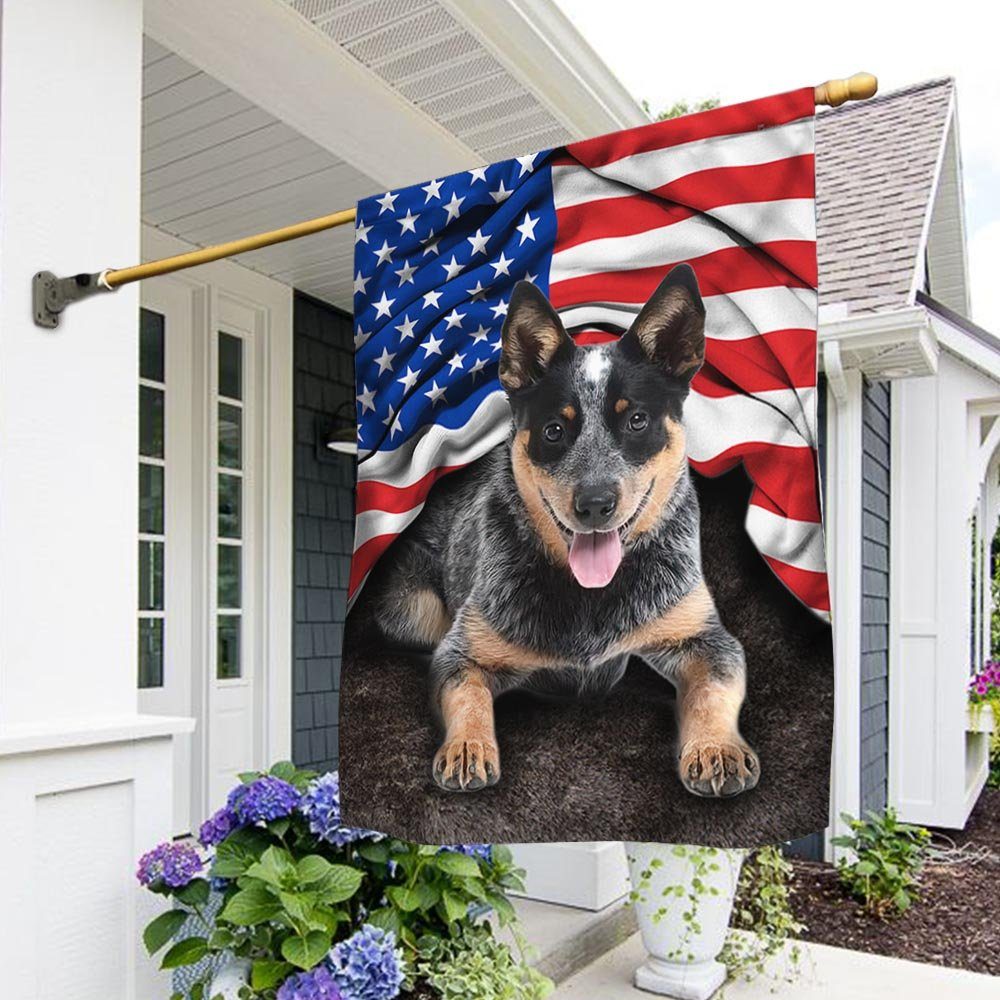 Australian Cattle Dog. Blue Heeler American Patriot Flag THH3413F