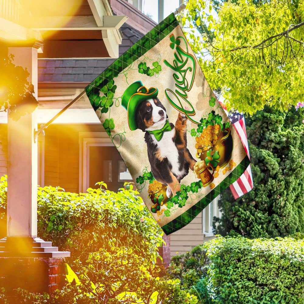 Australian Shepherd  St. Patrick’s Day Flag