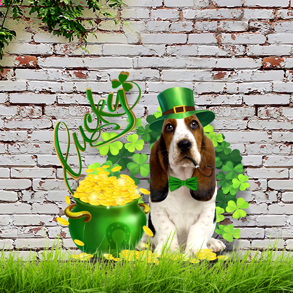 Basset Hound St. Patrick’s Day Irish Garden Metal Sign QNK16MS