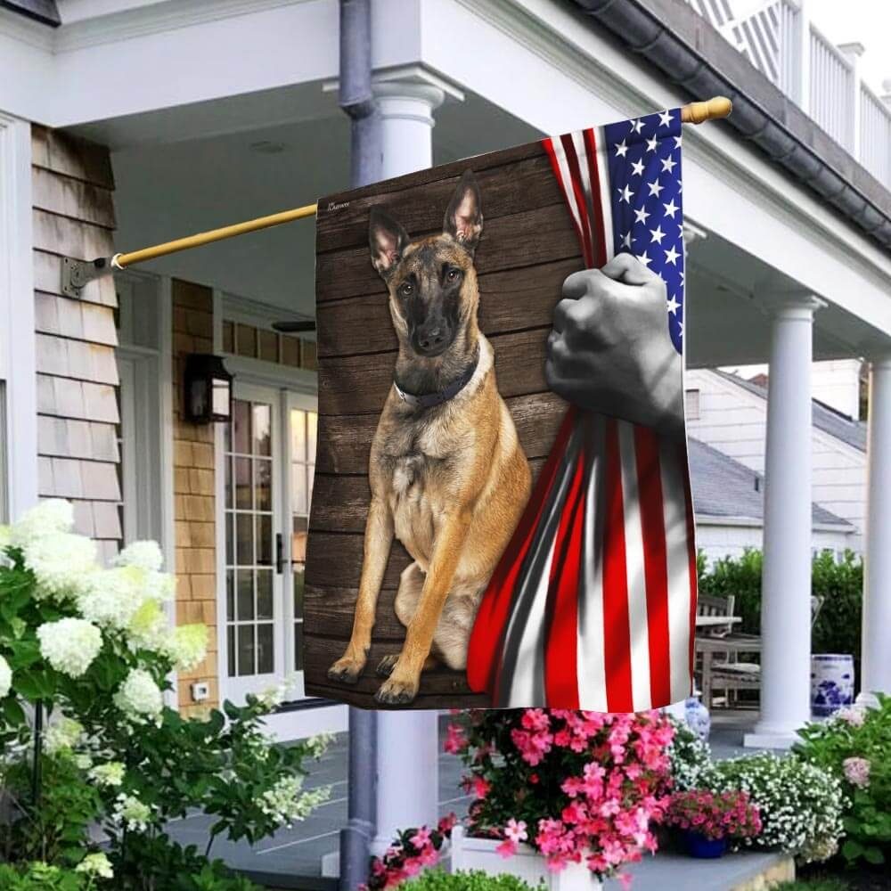 Belgian Malinois American Flag
