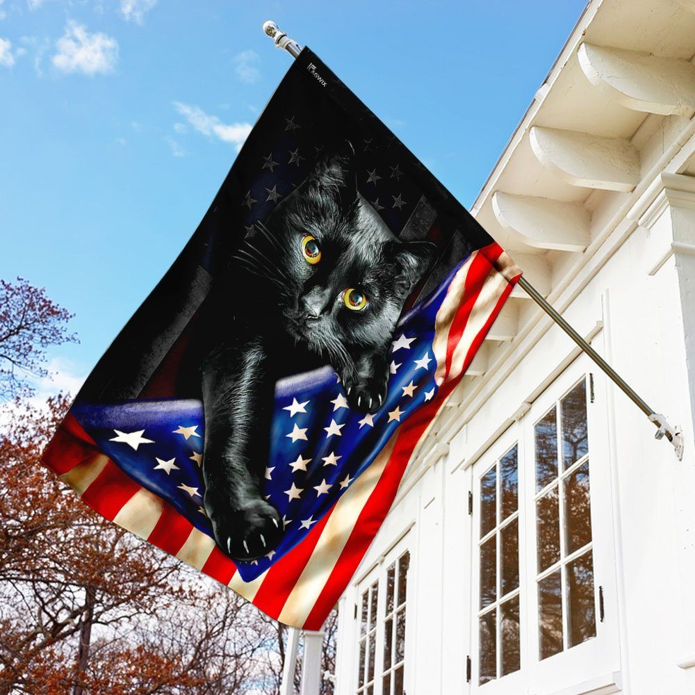 Black Cat American Flag