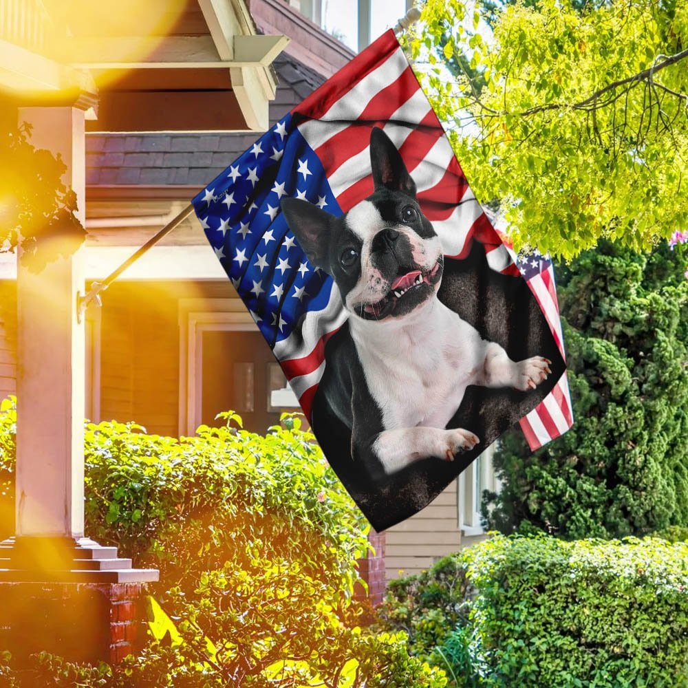 Boston Terrier. American Patriot Flag