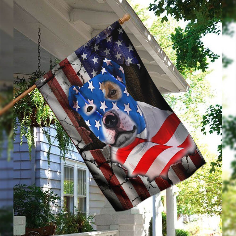 Bully American Flag Bully American Flag