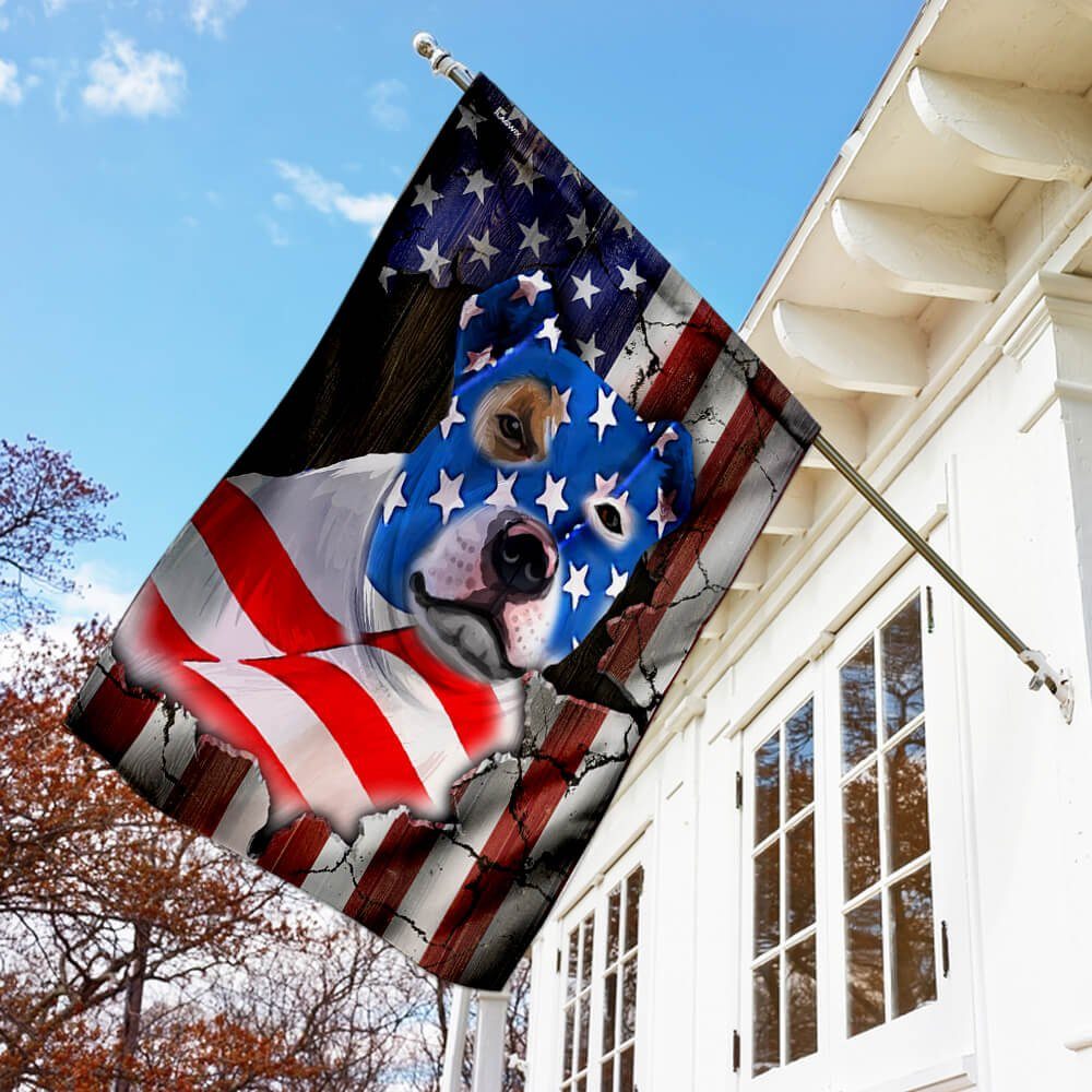 Bully American Flag Bully American Flag