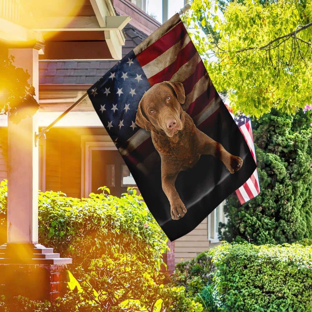 Chesapeake Bay Retriever Dog American Flag