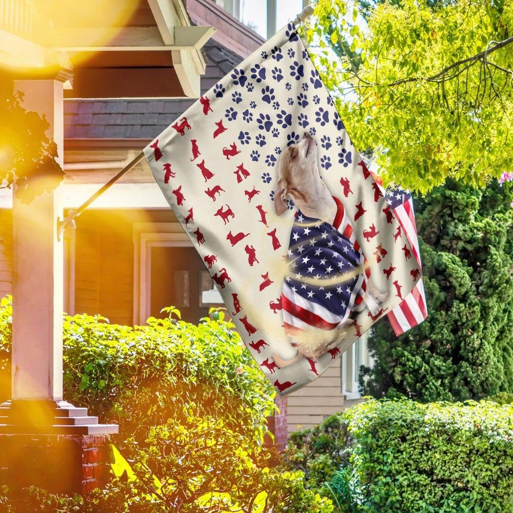 Chihuahua Dog American Flag
