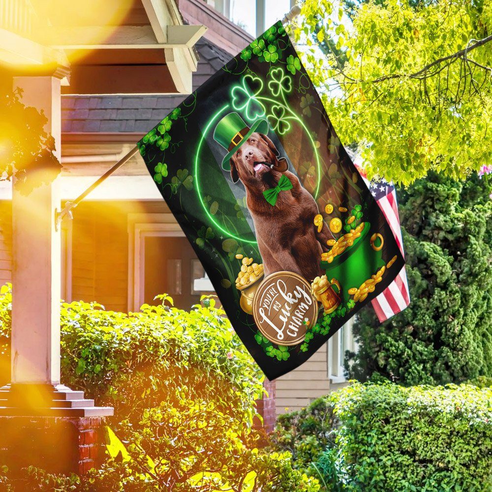 Chocolate Labrador You Are My Lucky Charm Irish Flag