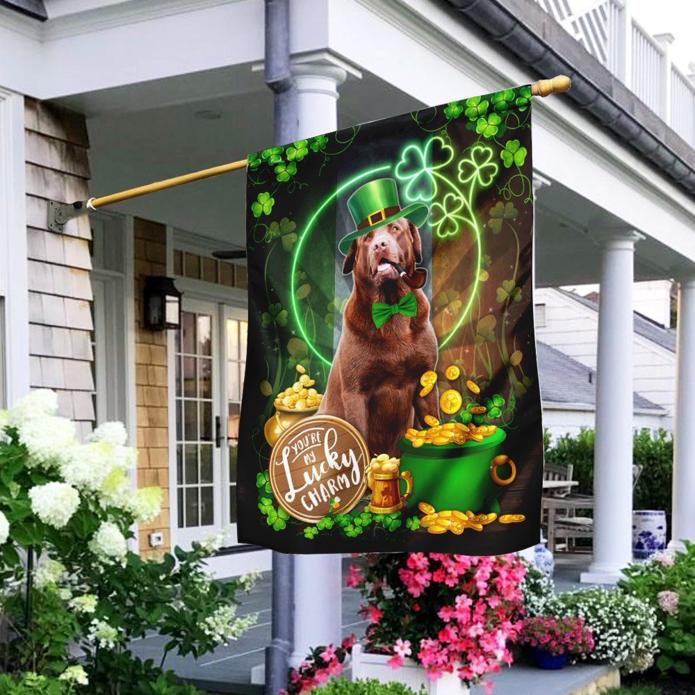Chocolate Labrador You Are My Lucky Charm Irish Flag