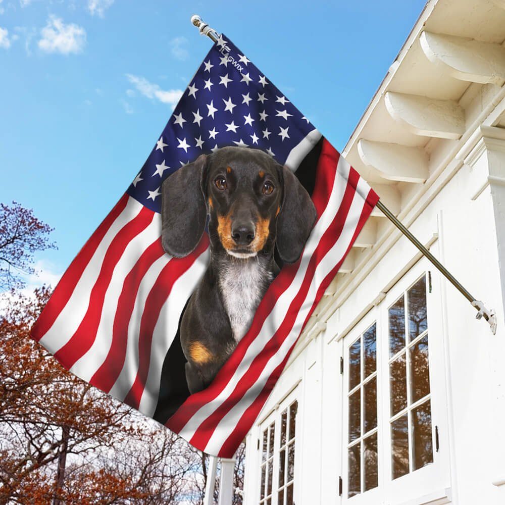 Dachshund American Flag