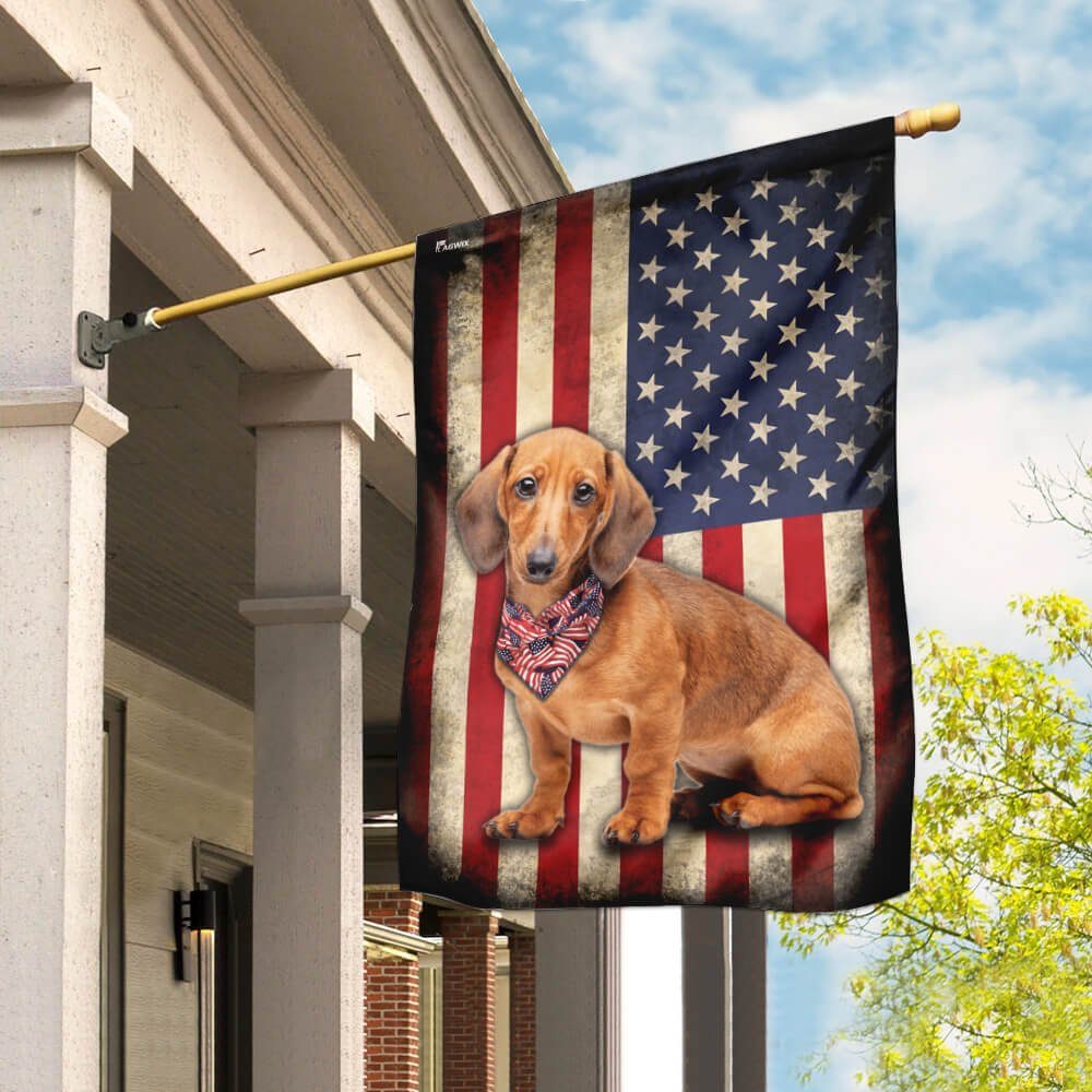 Dachshund American US Flag