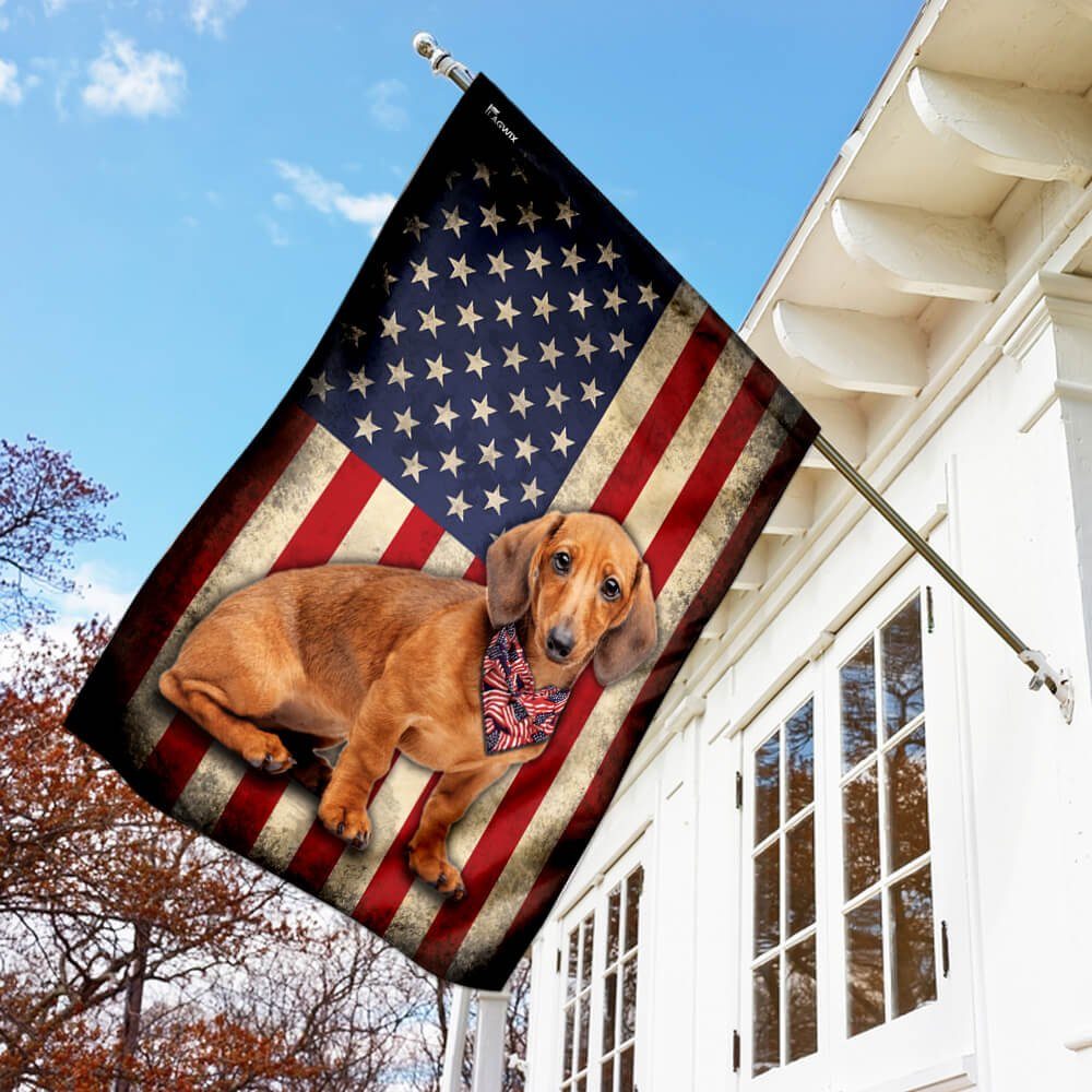 Dachshund American US Flag
