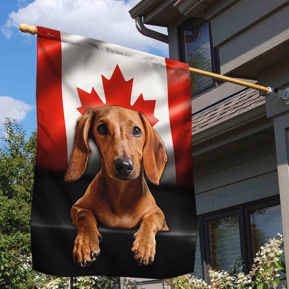 Dachshund Dog Canadian Flag QNN557Fv14