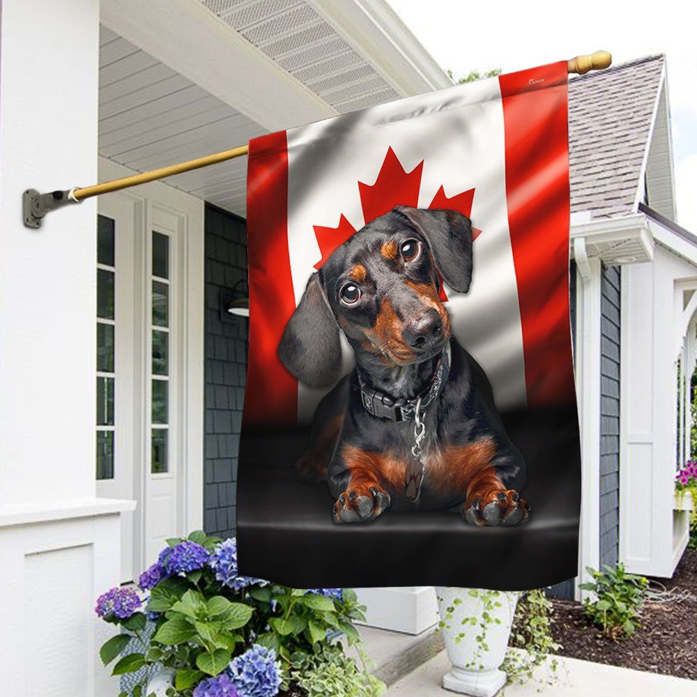 Dachshund Dog Canadian Flag QNN557Fv19