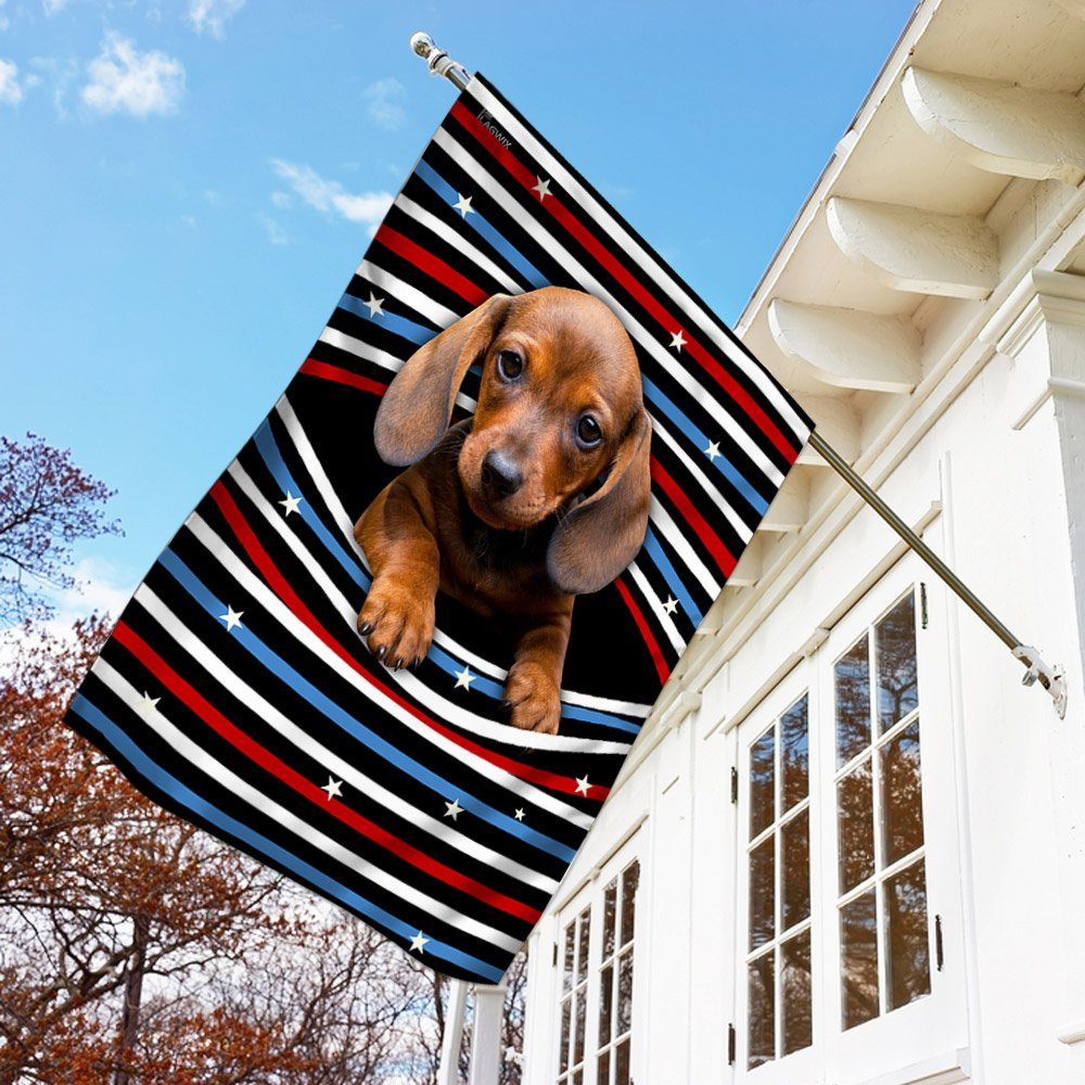 Dachshund Flag