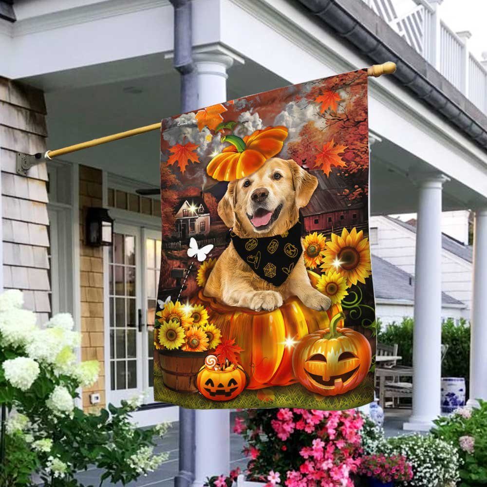 Golden Retriever Pumpkin Happy Fall Y'all Flag DBD2783Fv2