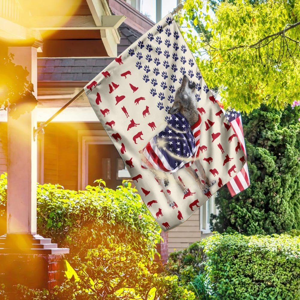 Grey Wolf Wrapped In American Flag