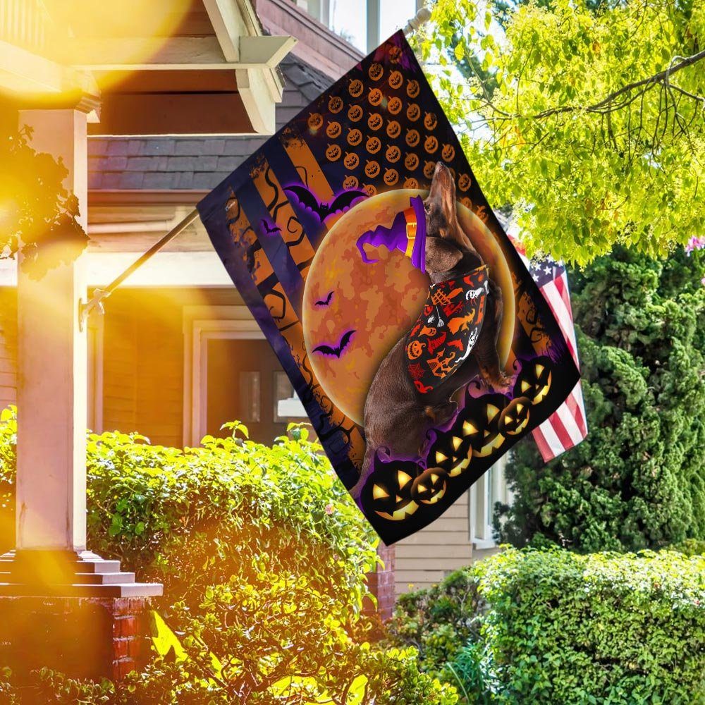 Halloween Flag Beware Of The Dachshund DDH2749Fv4