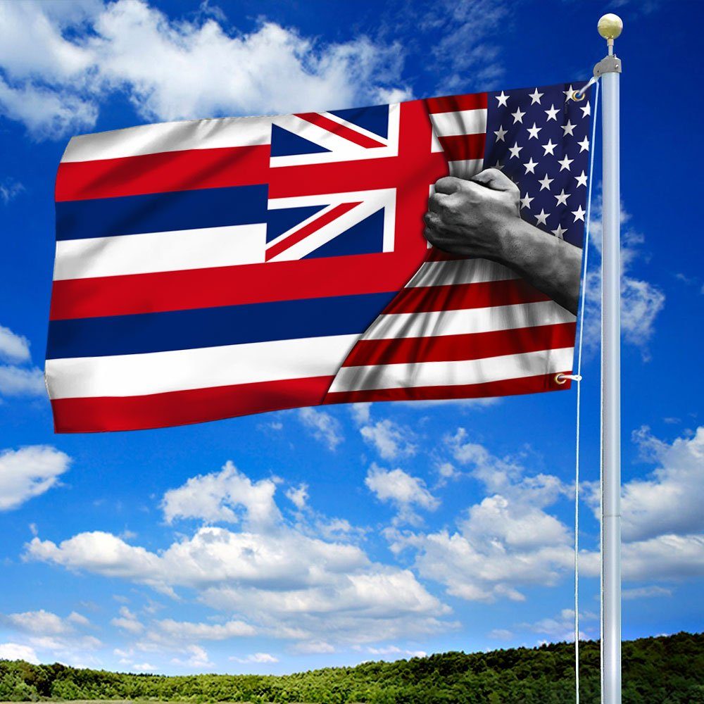 Hawaii American Grommet Flag TRL83GF