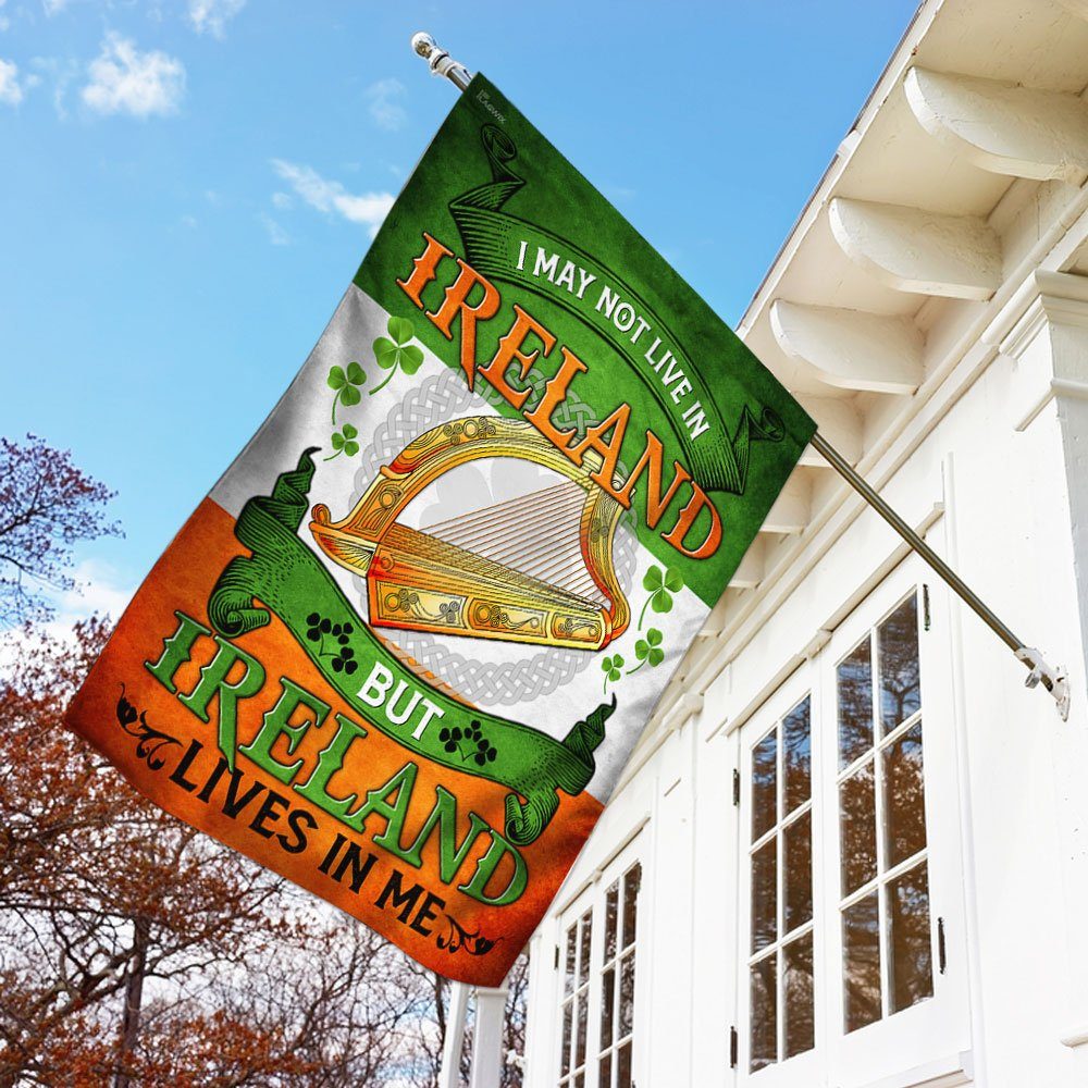 I May Not Live In Ireland But Ireland Lives In Me Flag