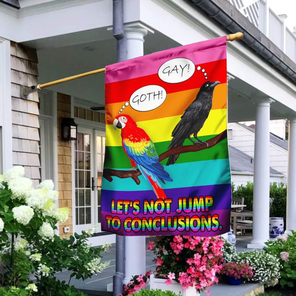 LGBT Let's Not Jump to Conclusions Flag