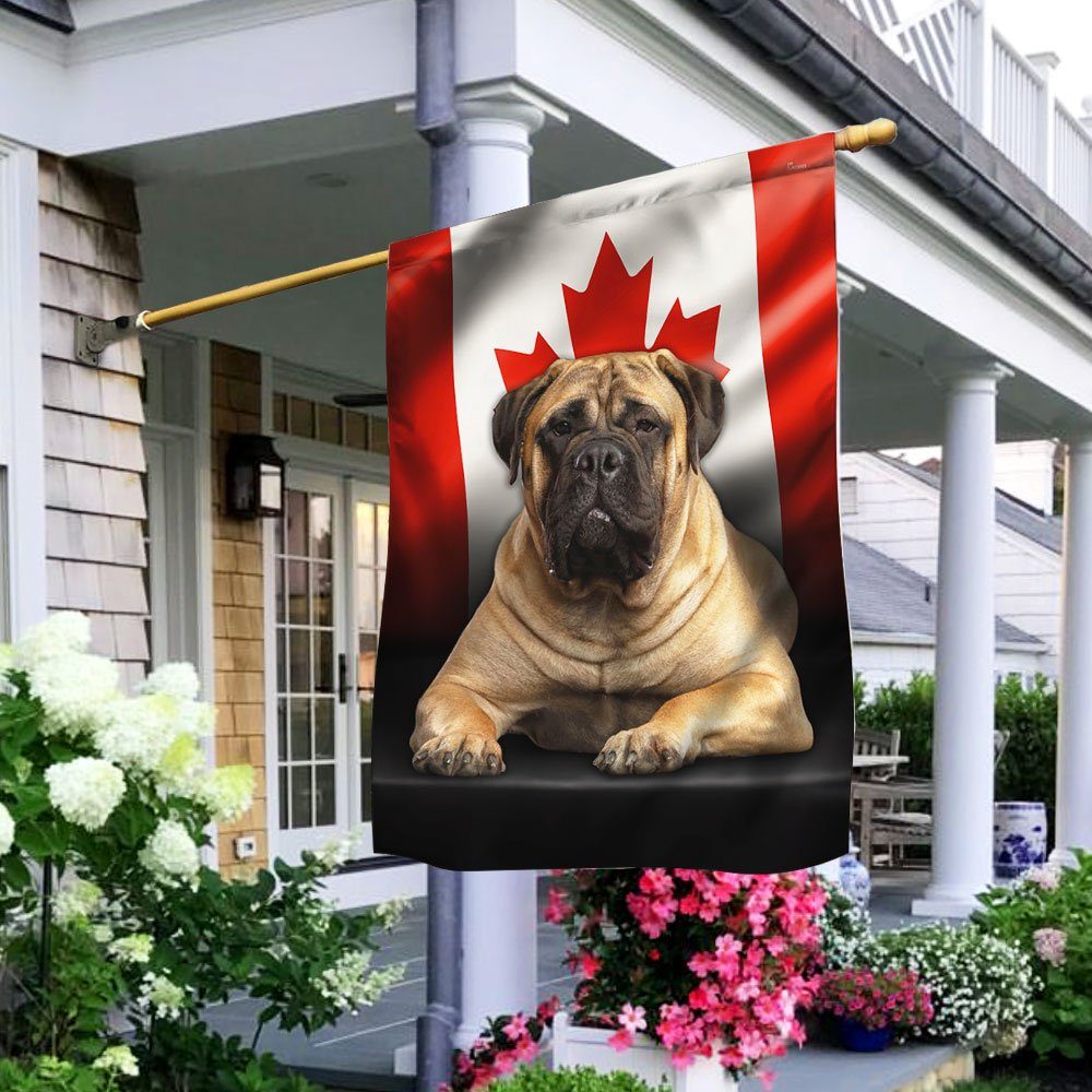 Mastiff Dog Canadian Flag QNN557F