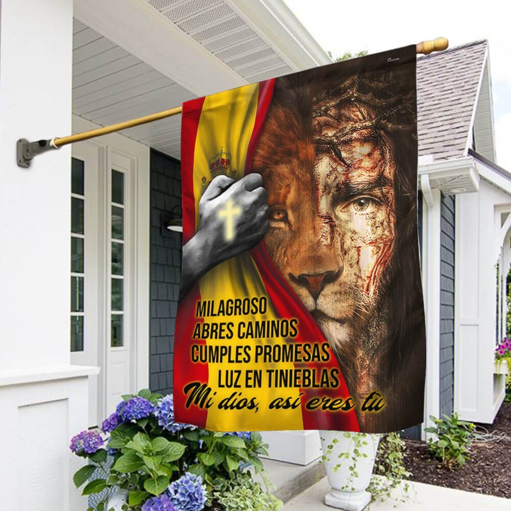 Mi dios, así eres tù Jesús Flag PN299F