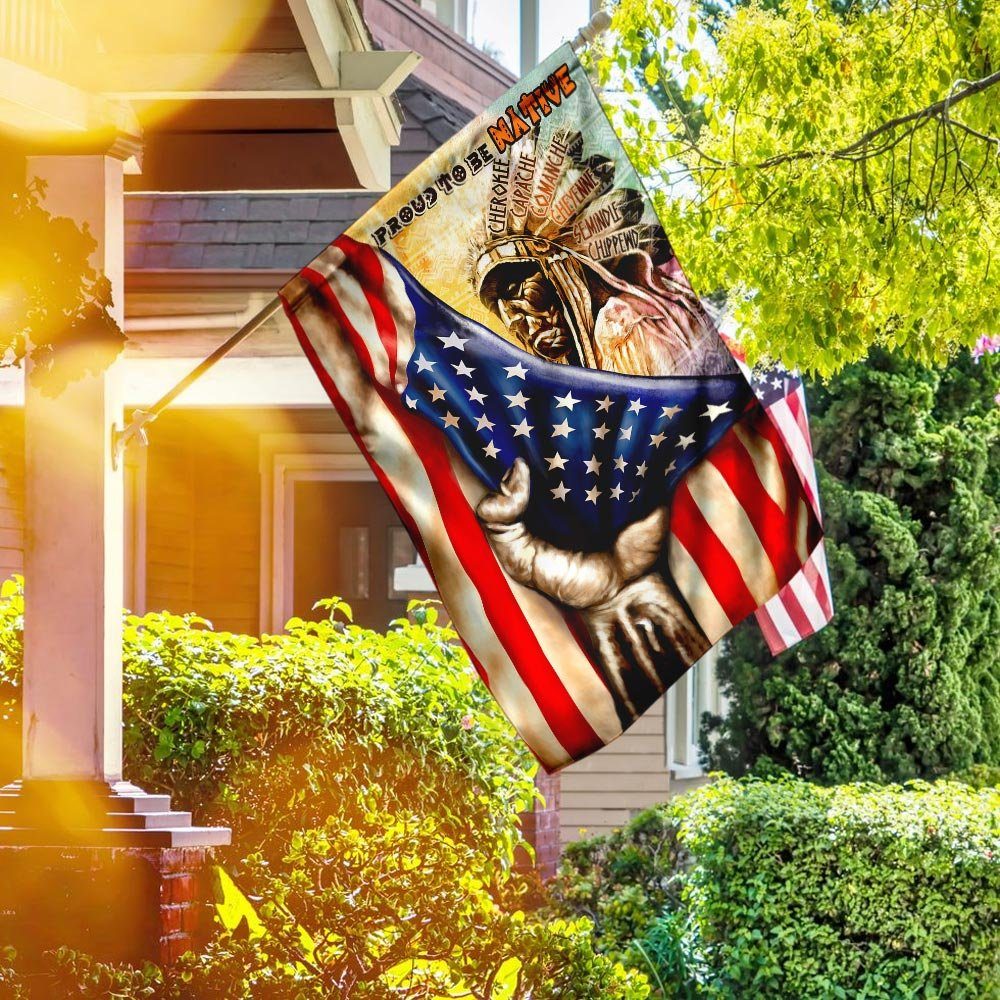 Native American Flag