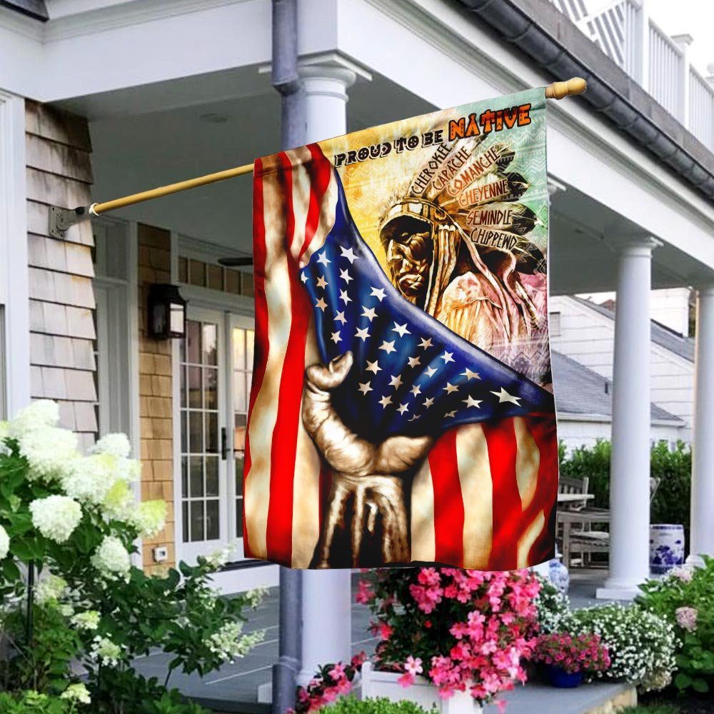 Native American Flag