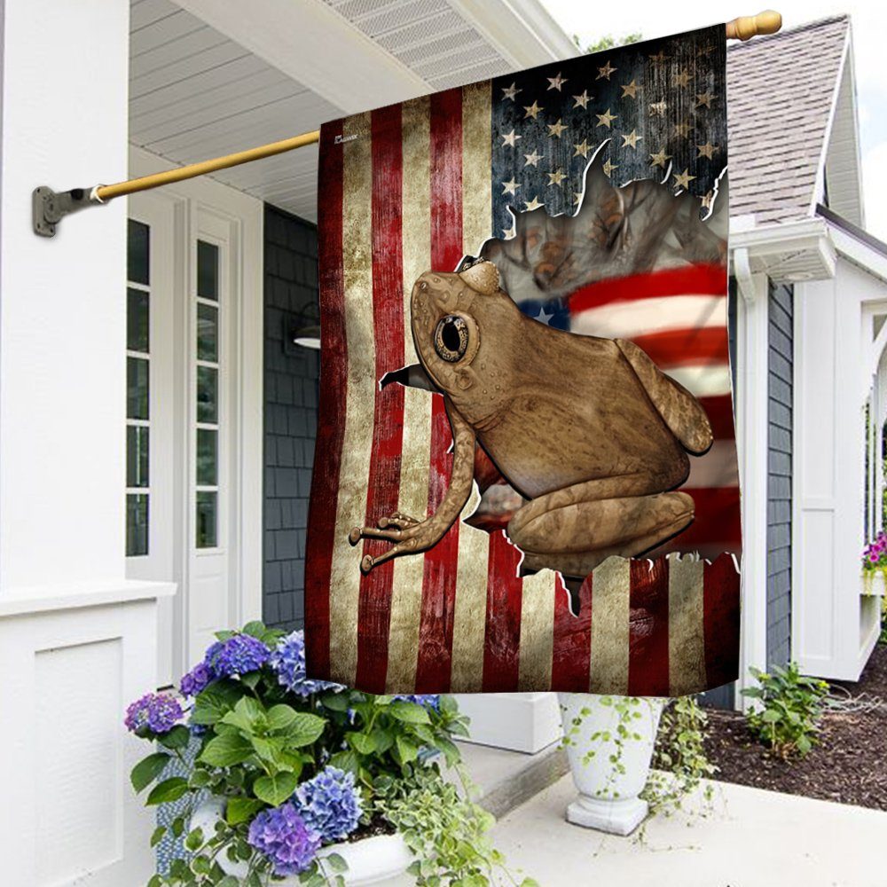 Patriotic Coqui American Flag THN2052Fv1