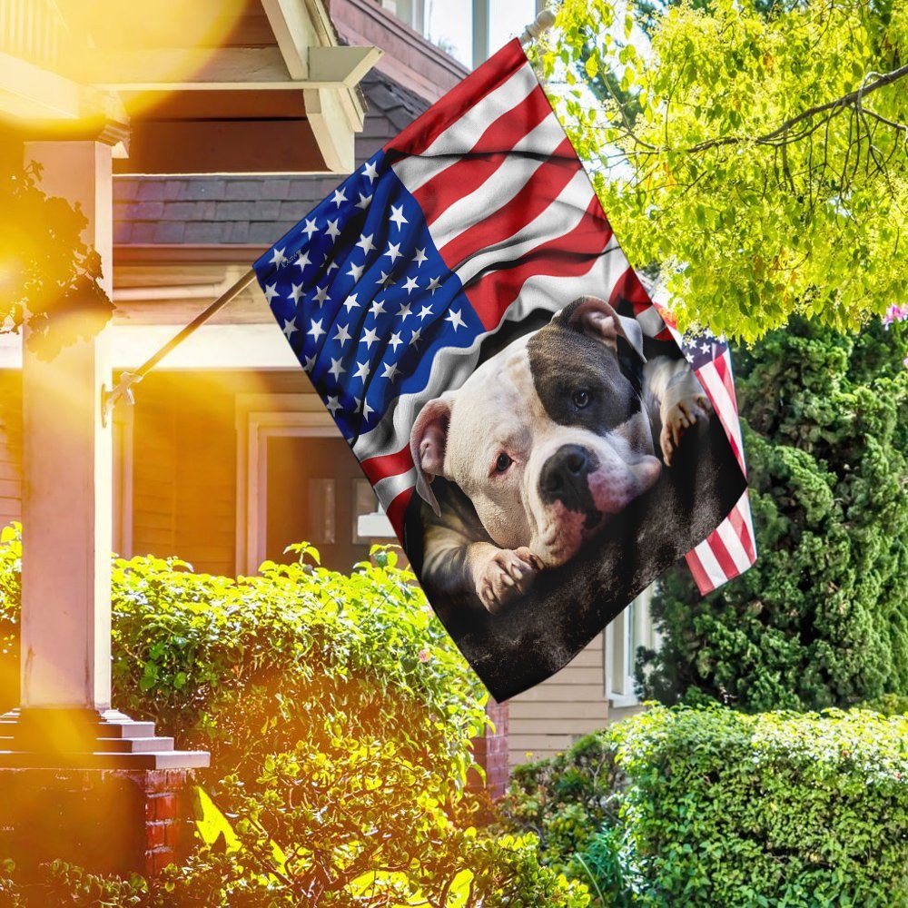 Pit Bull. American Patriot Flag
