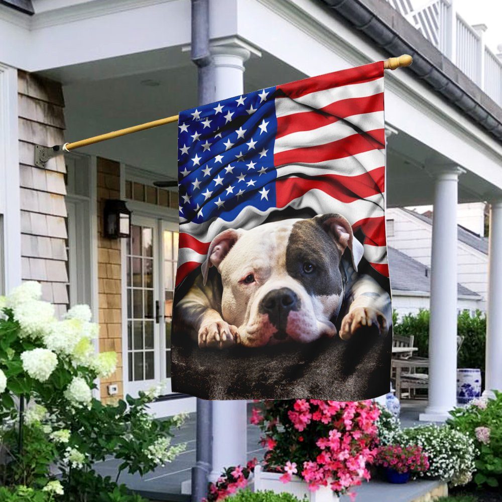 Pit Bull. American Patriot Flag