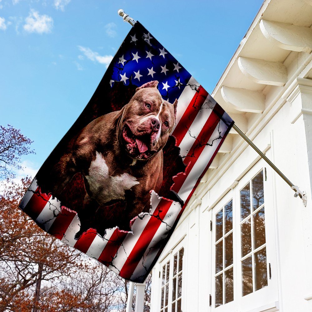 Pitbull American Flag