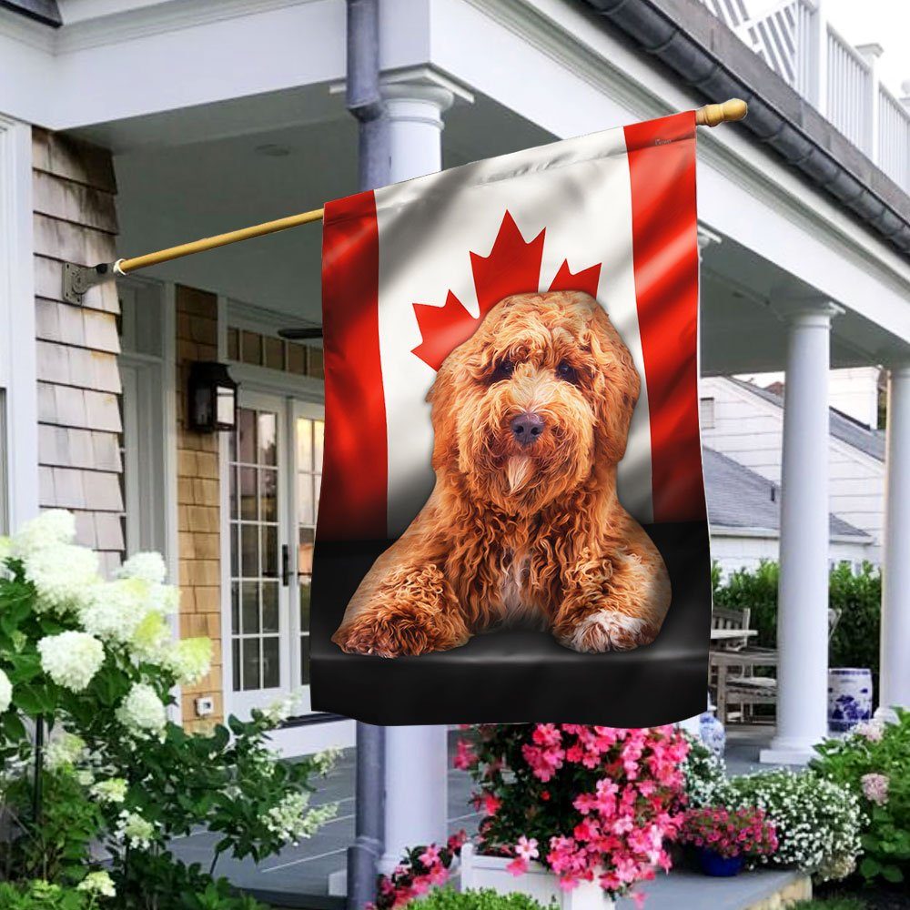 Poodle Flag Flagwix™ Poodle Image With Canadian Flag QNN557Fv12