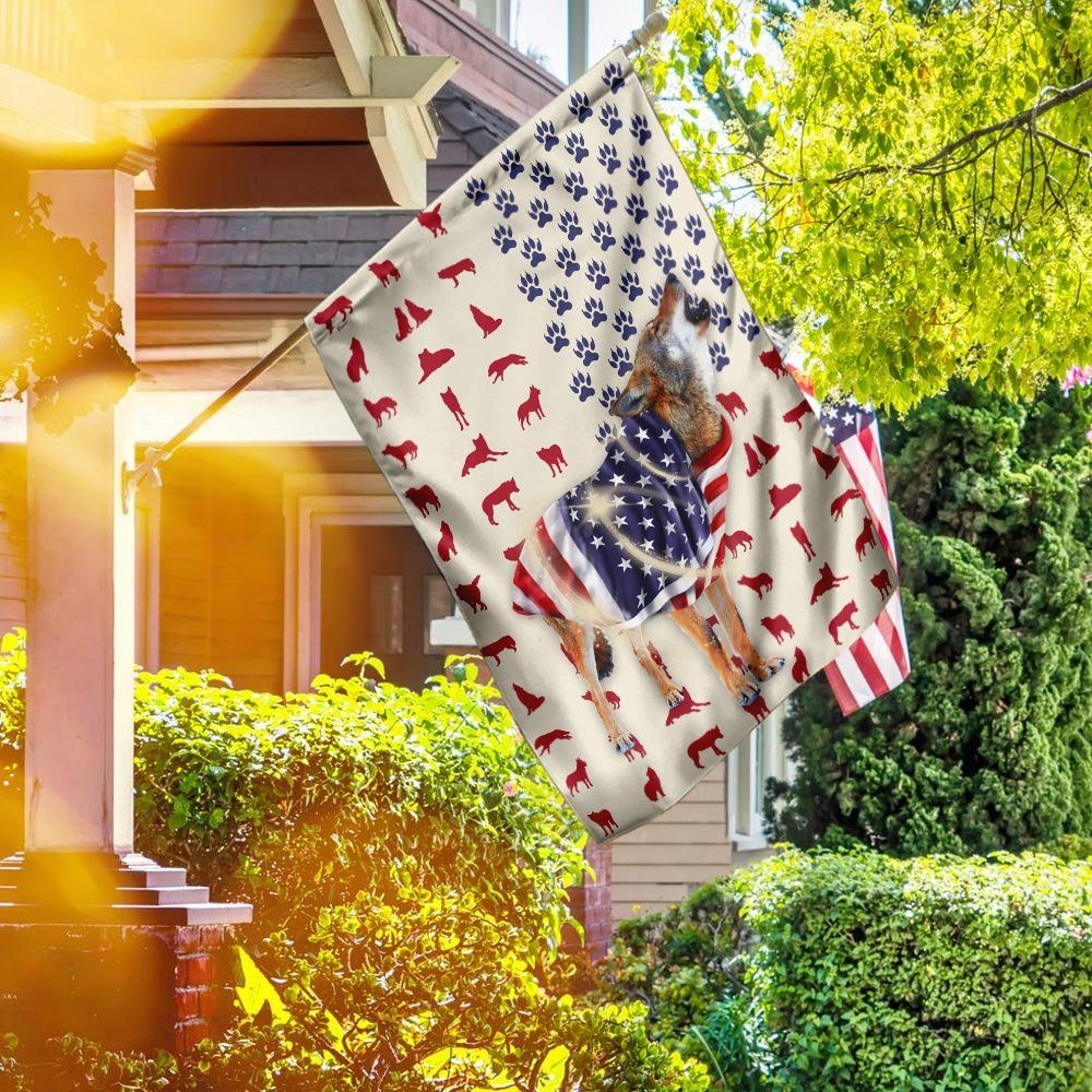 Red Wolf Wrapped In American Flag