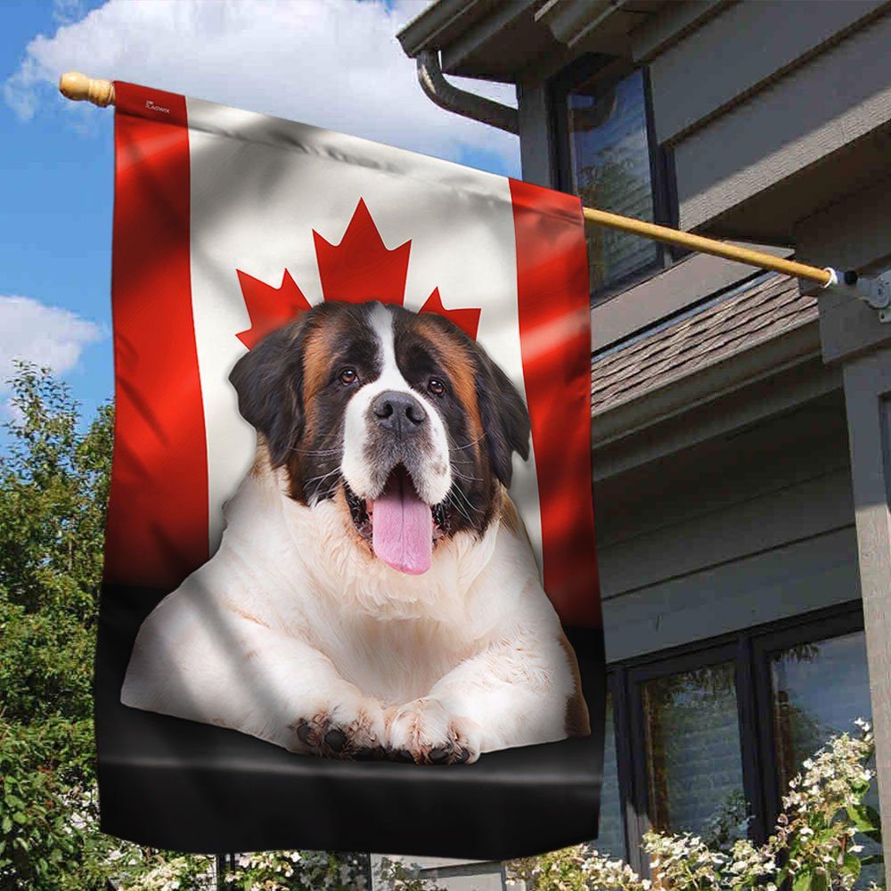 Saint Bernard Dog Canadian Flag QNN557Fv10