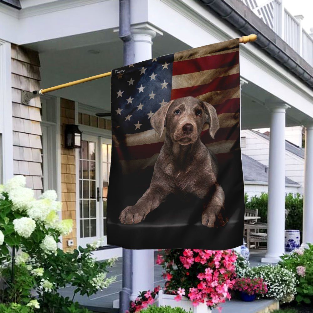 Silver Labrador American Flag