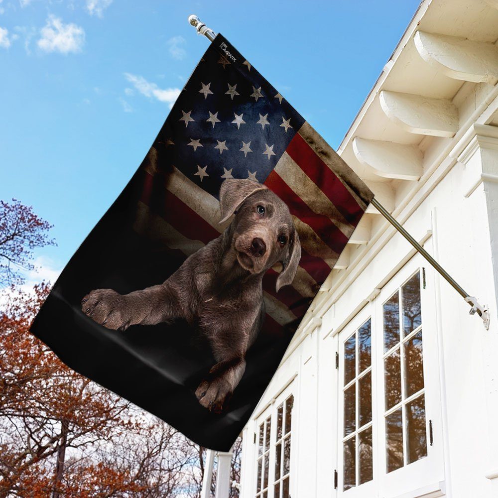 Silver Labrador American Flag