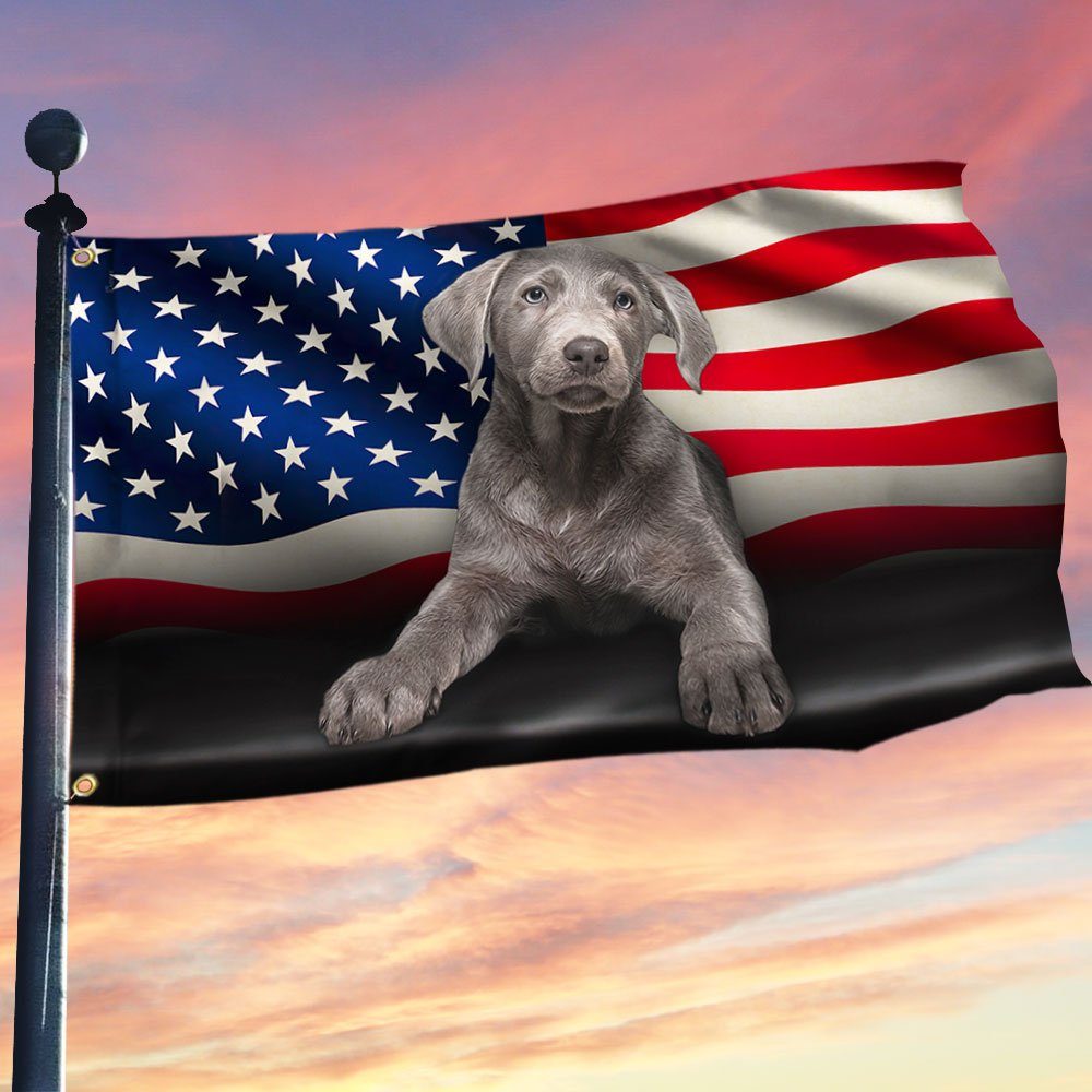 Silver Labrador American Grommet Flag QNN437GFV7b