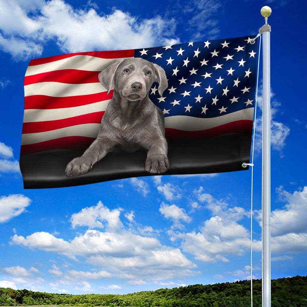 Silver Labrador American Grommet Flag QNN437GFV7b