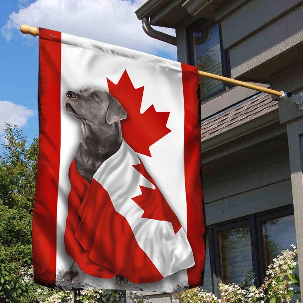 Silver Labrador Retriever Flag Patriotic Dog ANL01Fv8