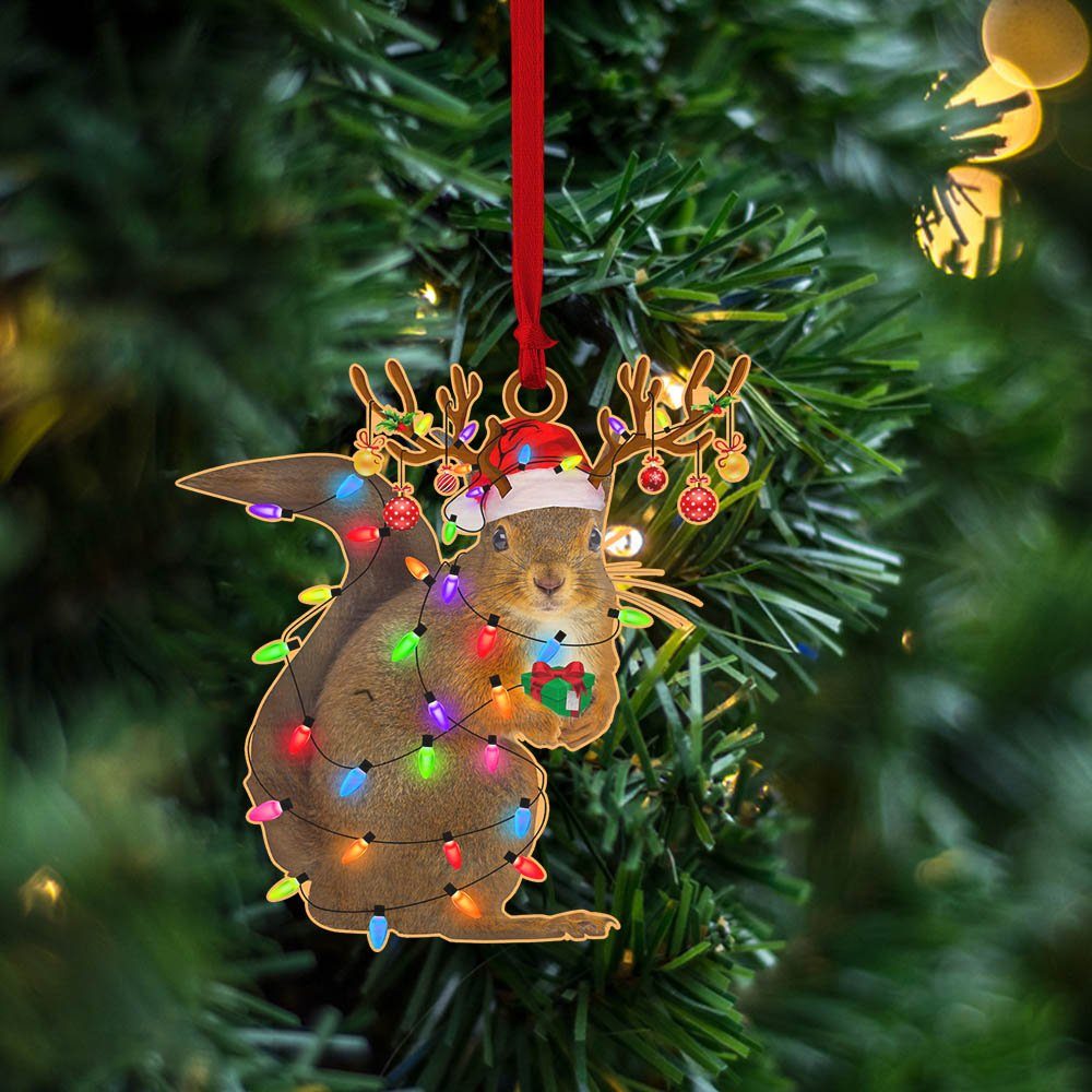 Squirrel Lights Christmas Ornament TQN617O